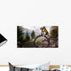 Sport. Mountain Bike cyclist riding single track Wall Mural