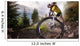 Sport. Mountain Bike cyclist riding single track Wall Mural