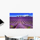 Lavender South France Wall Decal