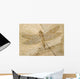 Fossil of a dragonfly. Wall Mural