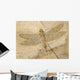 Fossil of a dragonfly. Wall Mural