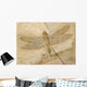 Fossil of a dragonfly. Wall Mural