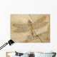 Fossil of a dragonfly. Wall Mural