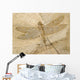 Fossil of a dragonfly. Wall Mural