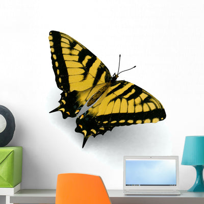 Swallowtail Butterfly Wall Decal shown on a wall