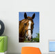Horse Wearing Bridle Wall Decal