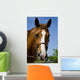 Horse Wearing Bridle Wall Decal