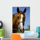 Horse Wearing Bridle Wall Decal