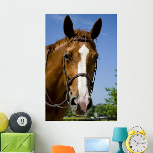 Horse Wearing Bridle Wall Decal