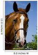 Horse Wearing Bridle Wall Decal
