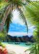 Palm Beach Wall Decal