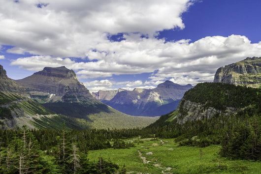 Montana Mountain Wall Decal
