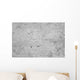 Concrete Wall Wall Mural