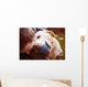 Man and dog Wall Mural