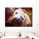 Man and dog Wall Mural