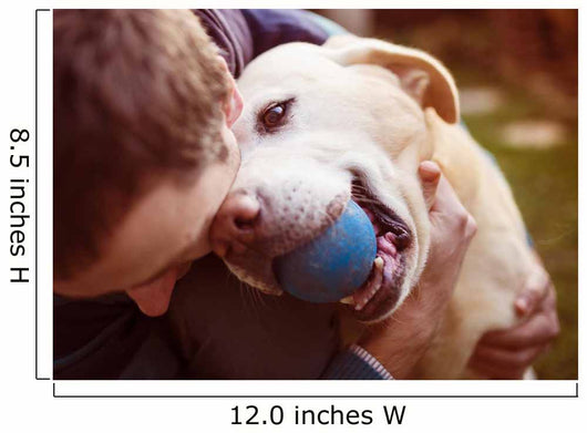 Man and dog Wall Mural
