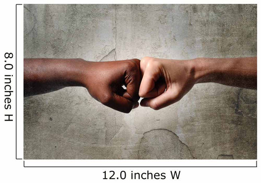 black African American ethnic fist vs white Caucasian Wall Mural