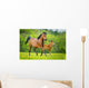 Stute und Fohlen Wall Mural