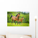 Stute und Fohlen Wall Mural