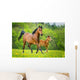Stute und Fohlen Wall Mural