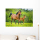 Stute und Fohlen Wall Mural
