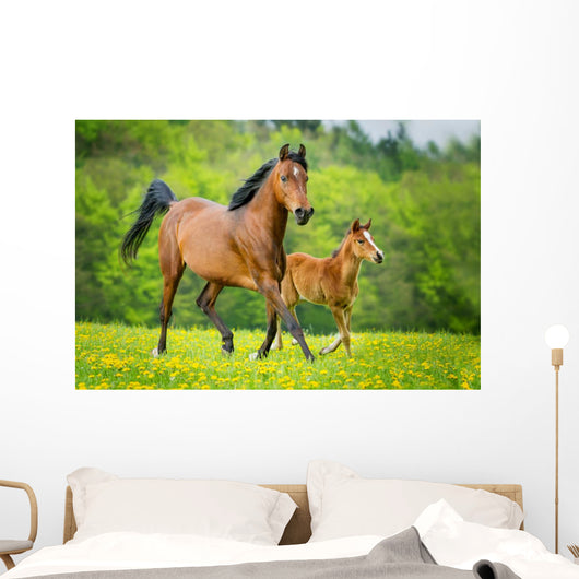 Stute und Fohlen Wall Mural