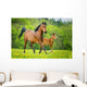 Stute und Fohlen Wall Mural