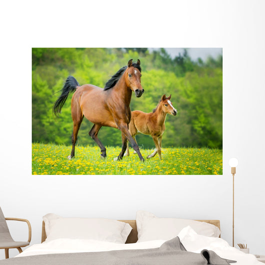 Stute und Fohlen Wall Mural