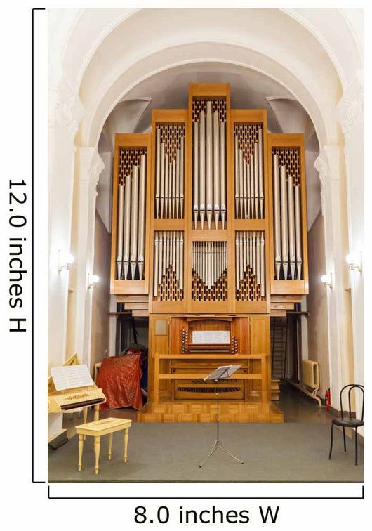 Detail of the organ Wall Mural