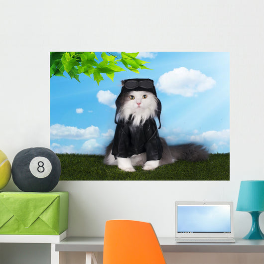 cat in a suit against the sky pilot Wall Mural