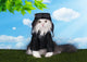 Cat In A Suit Against The Sky Pilot Wall Decal 2