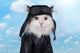Cat In A Suit Against The Sky Pilot Wall Decal