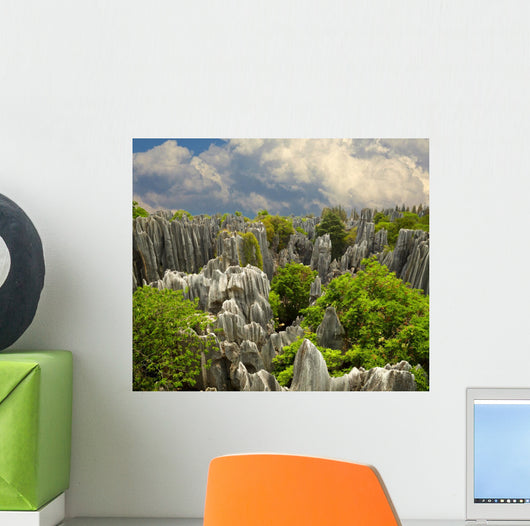 Stone forest Shi Lin. National park in Yunnan province, China Wall Mural