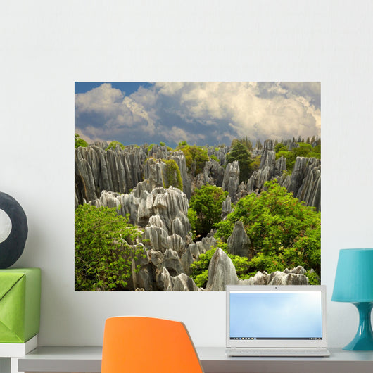 Stone forest Shi Lin. National park in Yunnan province, China Wall Mural