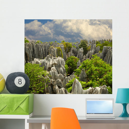 Stone forest Shi Lin. National park in Yunnan province, China Wall Mural