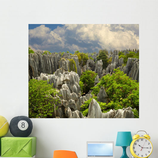Stone forest Shi Lin. National park in Yunnan province, China Wall Mural