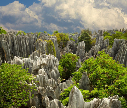 Stone Forest Shi Lin. National Park In Yunnan Province, China Wall Decal
