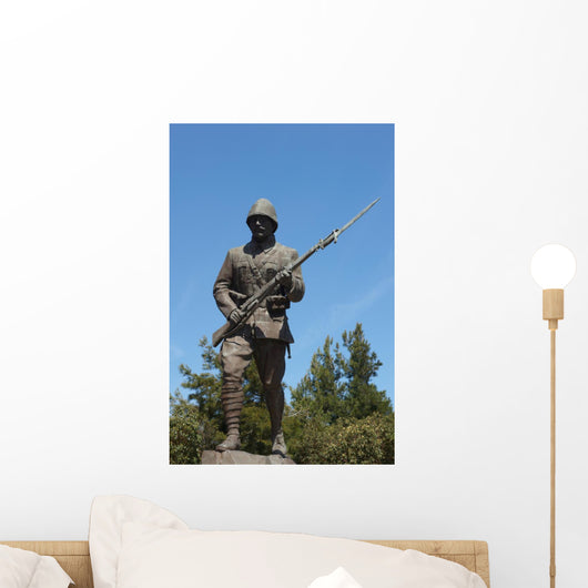 Statue of a Turk Unknown WWI Soldier Wall Mural