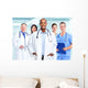 Medical Professionals Doctors Wall Mural