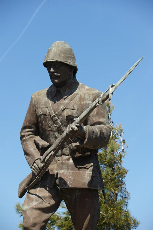 Statue Of A Turk Unknown Wwi Soldier Wall Decal 2