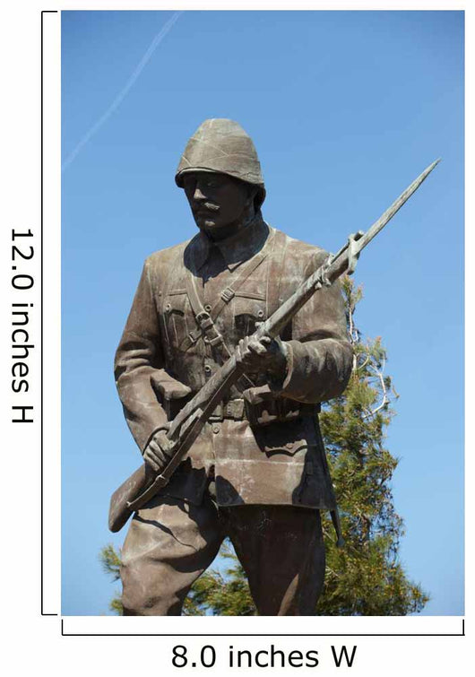 Statue of a Turk Unknown WWI Soldier Wall Mural