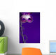 Purple Mardi-Gras or Venetian mask on purple background Wall Mural