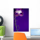 Purple Mardi-Gras or Venetian mask on purple background Wall Mural
