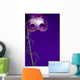 Purple Mardi-Gras or Venetian mask on purple background Wall Mural