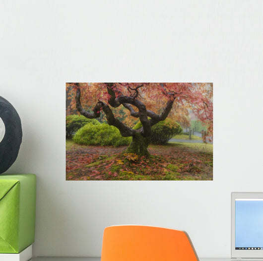 Japanese Maple Tree Wall Mural
