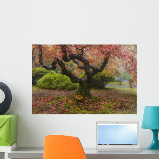 Japanese Maple Tree Wall Mural