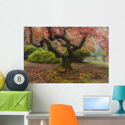 Japanese Maple Tree Wall Mural