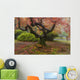 Japanese Maple Tree Wall Mural
