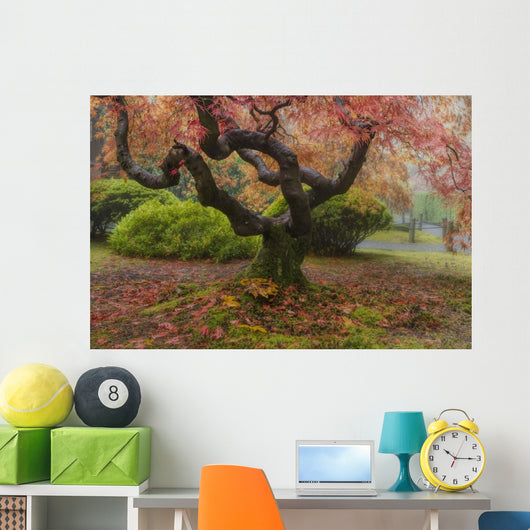 Japanese Maple Tree Wall Mural
