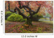 Japanese Maple Tree Wall Mural